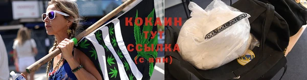 амф Магас