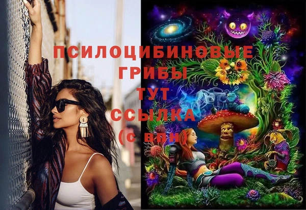 амф Магас
