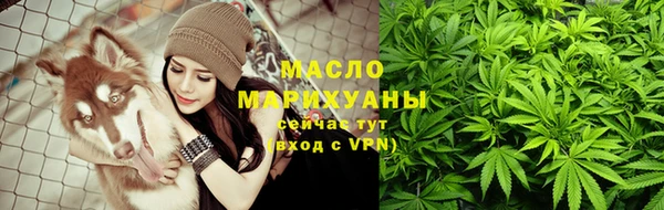 гашик Майский